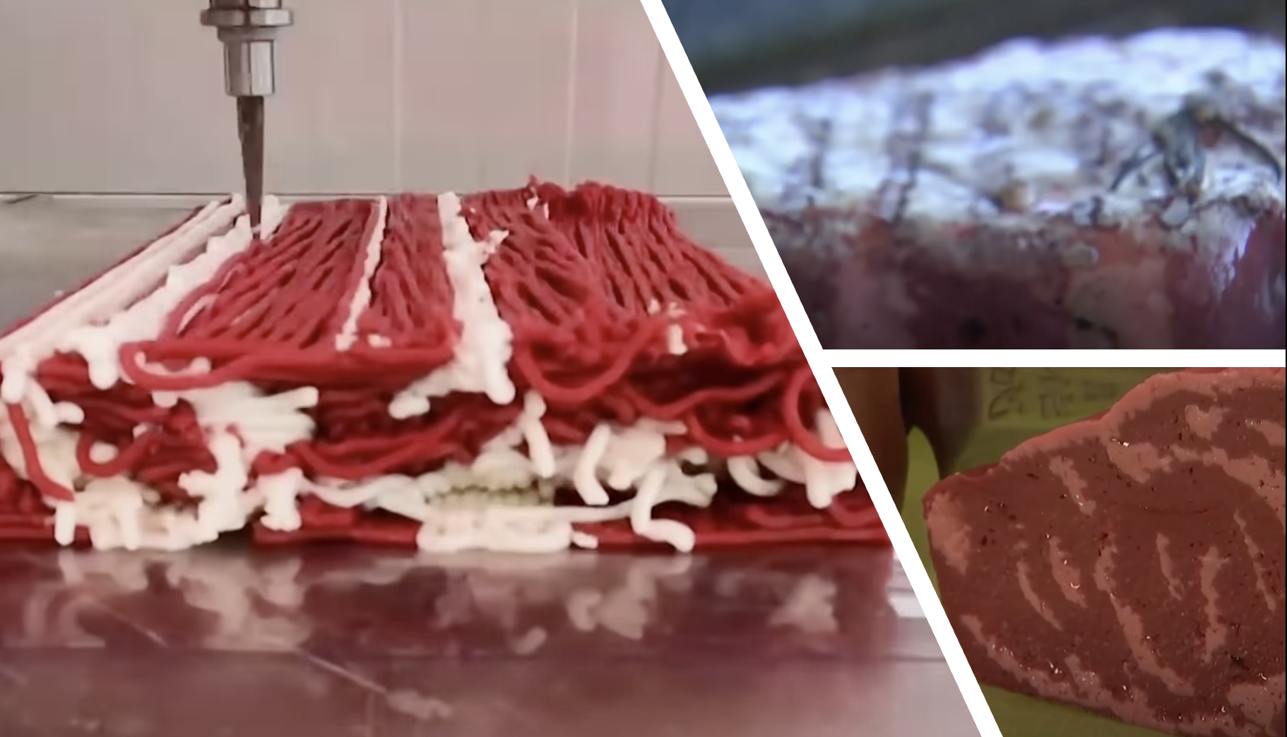 3D printed meat being made and cooked