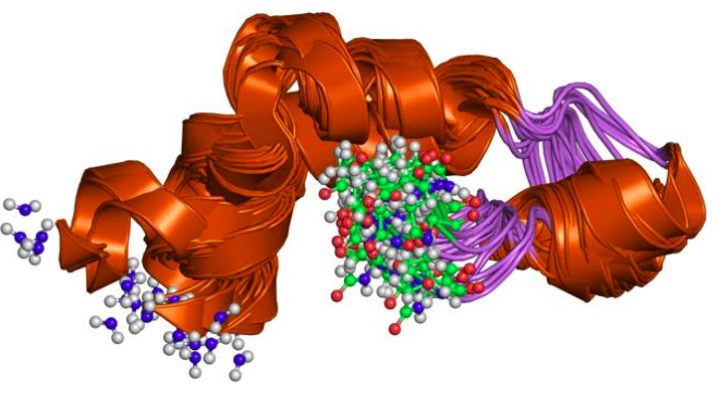 A folded protein